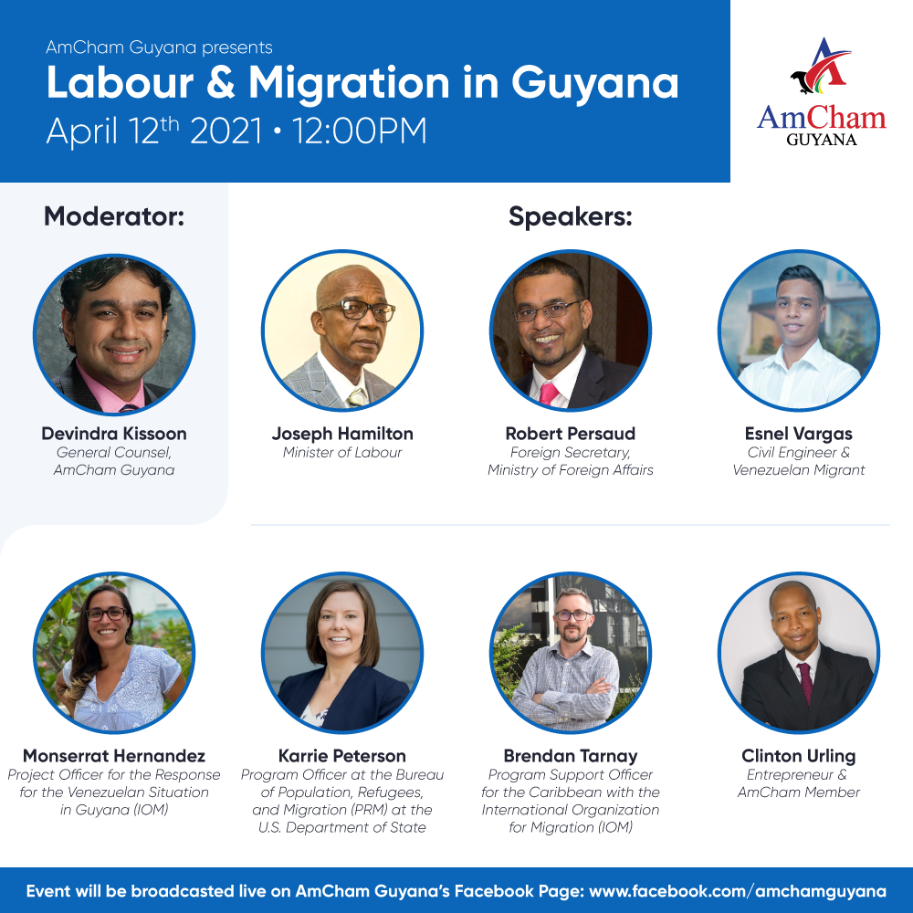 amcham labour and migration webinar