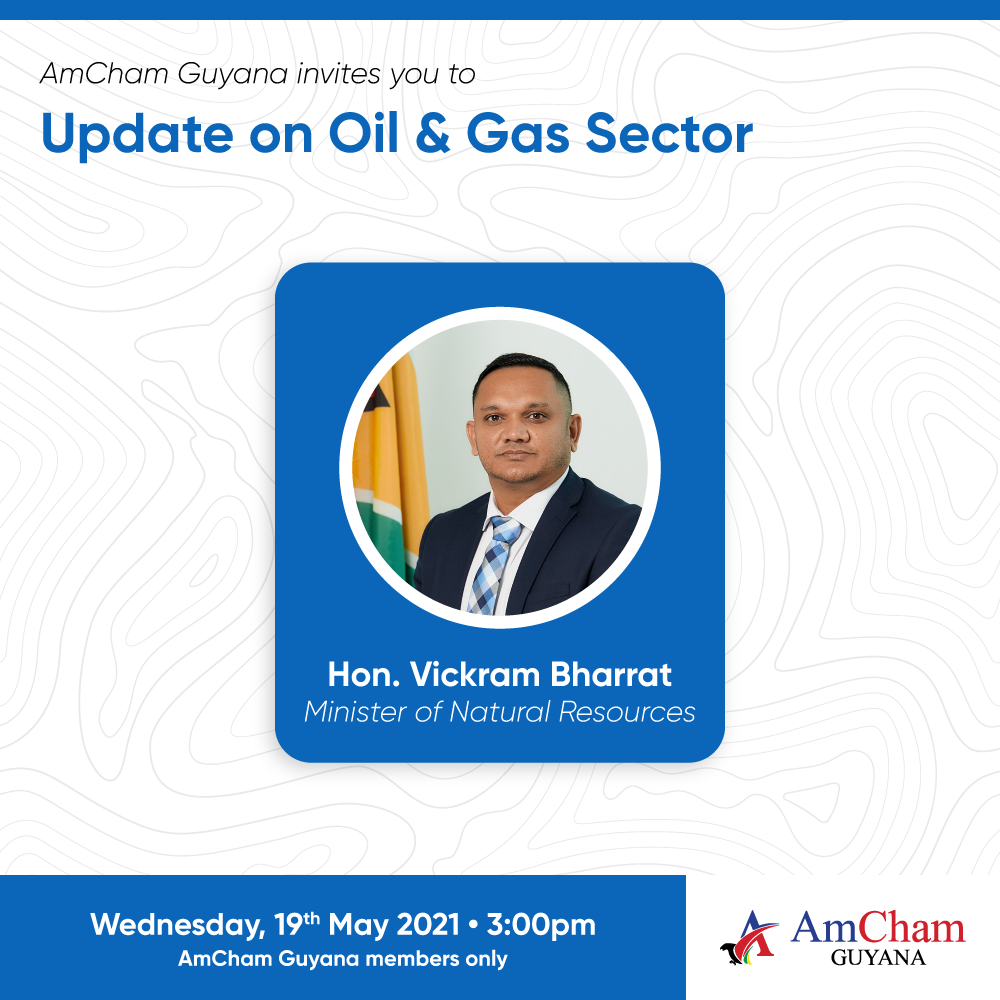 amcham update on oil and gas sector
