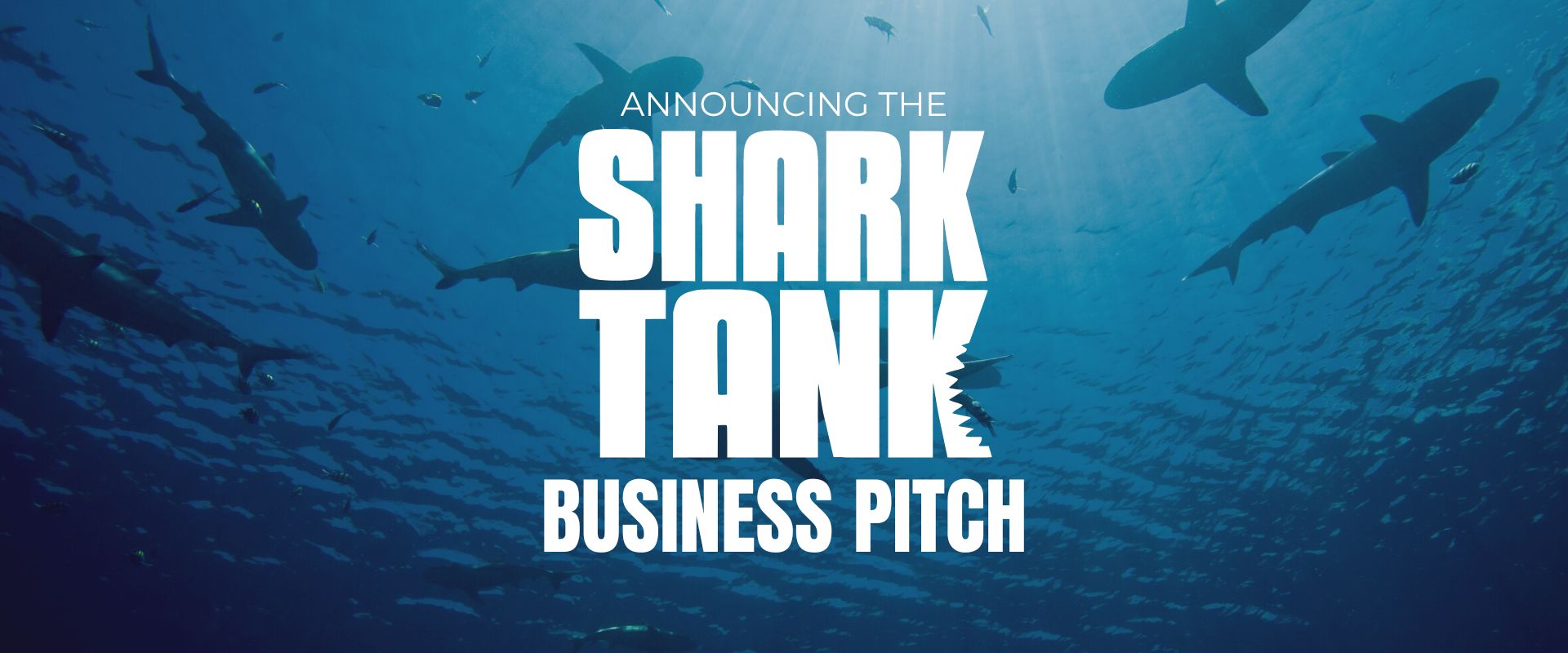 shark tank web banner